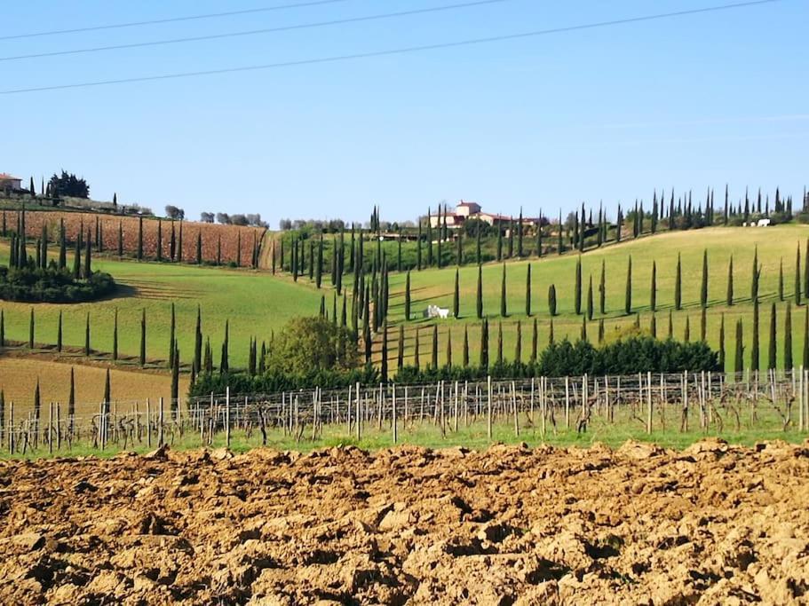 Castello Di Fulignano Ildebrando Superior Apartment San Gimignano Dış mekan fotoğraf